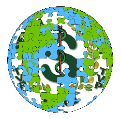 Building a Twelve Visions World